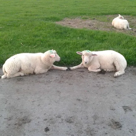 Appartamento Luxuswohnung, 90 Qm, Balkon, Lage In Kollmar