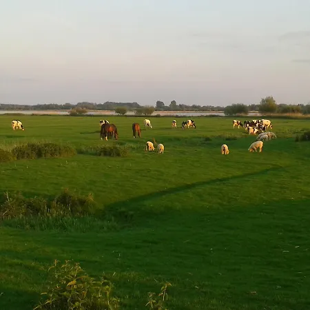 Luxuswohnung, 90 Qm, Balkon, Lage In * Kollmar