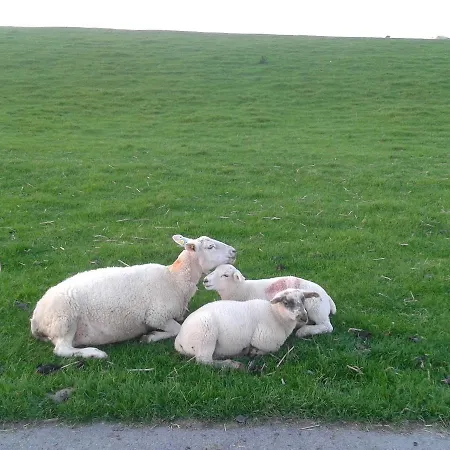 Luxuswohnung, 90 Qm, Balkon, Lage In